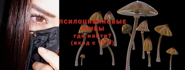 мет Аркадак