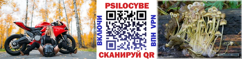 Галлюциногенные грибы Cubensis  магазин продажи наркотиков  Лиски 